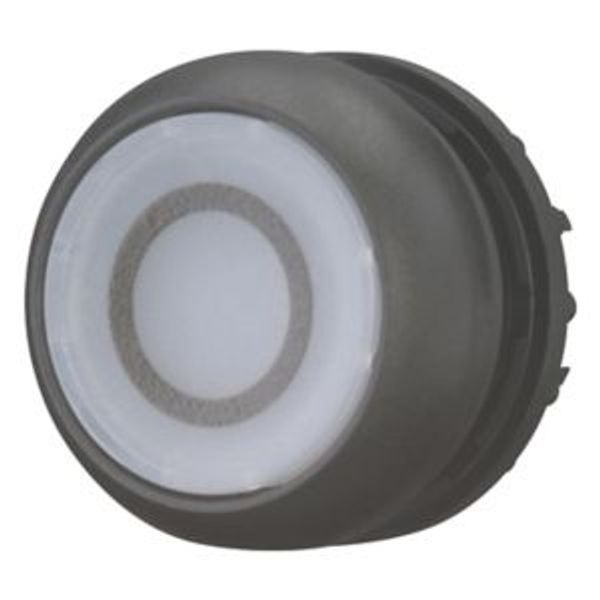 Illuminated pushbutton actuator, RMQ-Titan, Flush, momentary, White, inscribed 0, Bezel: black image 2