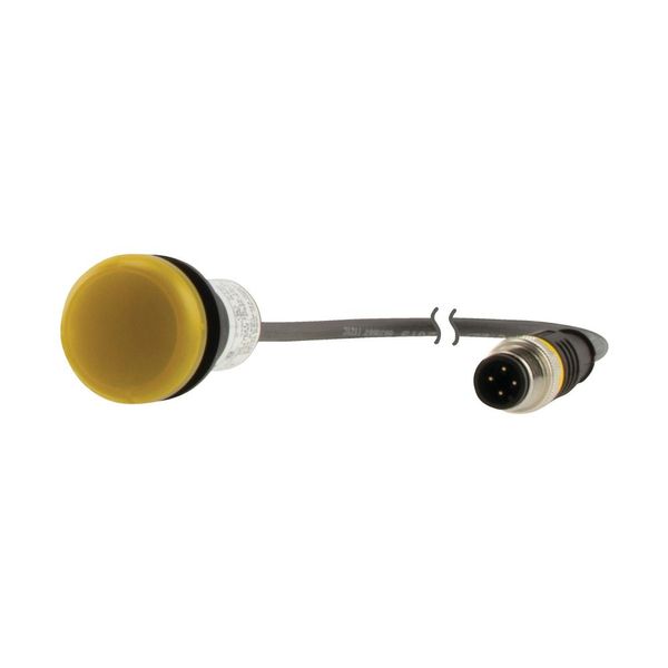 Indicator light, Flat, Cable (black) with M12A plug, 4 pole, 0.2 m, Lens yellow, LED white, 24 V AC/DC image 15