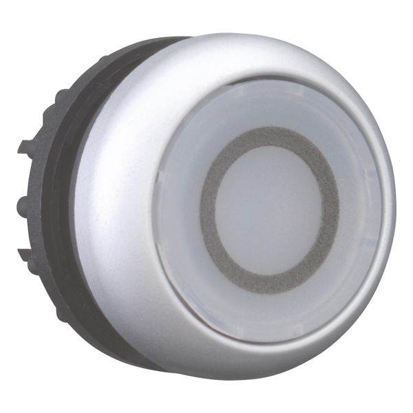 Illuminated pushbutton actuator, RMQ-Titan, Flush, maintained, White, inscribed 0, Bezel: titanium image 7