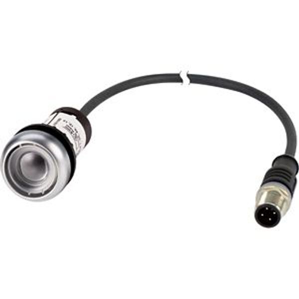 Pushbutton, Flat, momentary, 1 N/O, Cable (black) with M12A plug, 4 pole, 1 m, Without button plate, Bezel: titanium image 2