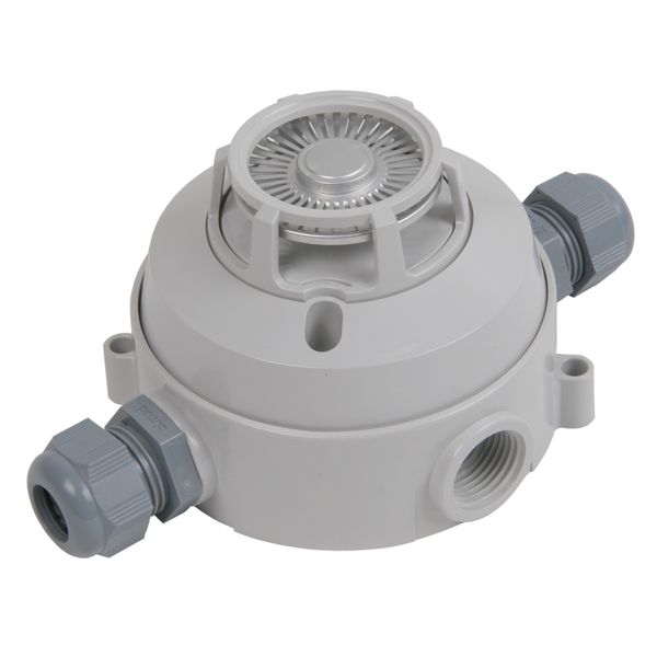 Conventional heat detector, 6295, IP67, 60 °C fixed temperature image 2