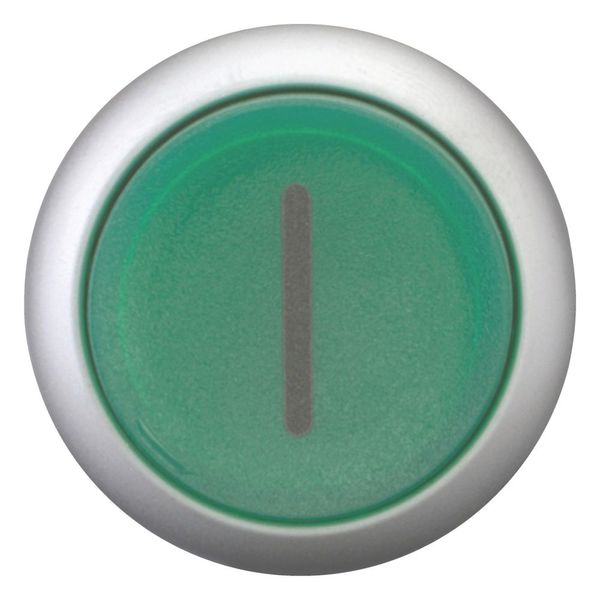 Illuminated pushbutton actuator, RMQ-Titan, Extended, momentary, green, inscribed, Bezel: titanium image 9