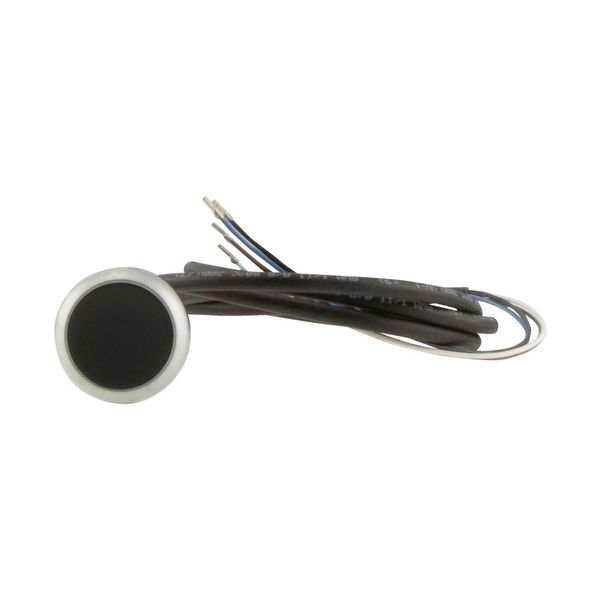 Pushbutton, Flat, momentary, 1 NC, Cable (black) with non-terminated end, 4 pole, 1 m, black, Blank, Bezel: titanium image 13