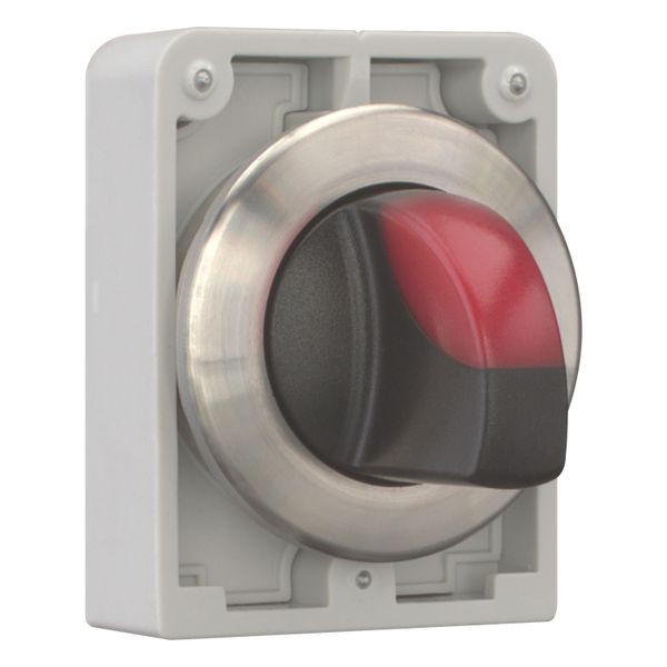 Illuminated selector switch actuator, RMQ-Titan, with thumb-grip, momentary, 2 positions, red, Front ring stainless steel image 14