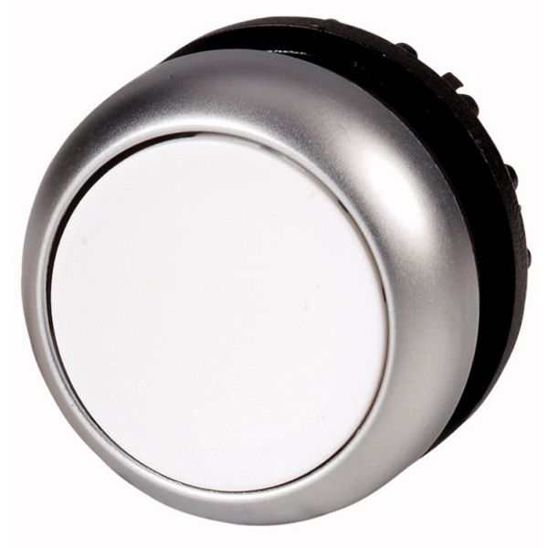 Pushbutton, RMQ-Titan, Flat, momentary, White, Blank, Bezel: titanium image 1