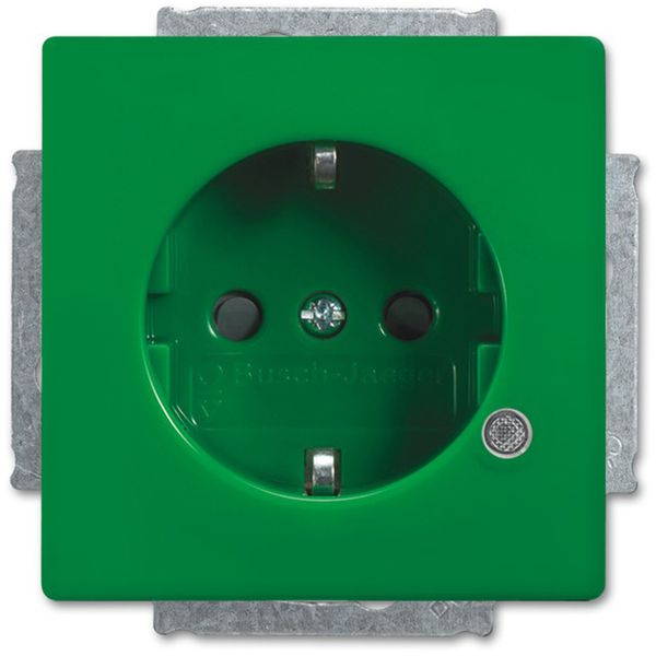 20 EUCBL-13-84-101 CoverPlates (partly incl. Insert) future®, Busch-axcent®, solo®; carat®; Busch-dynasty® Green, RAL 6032 image 1