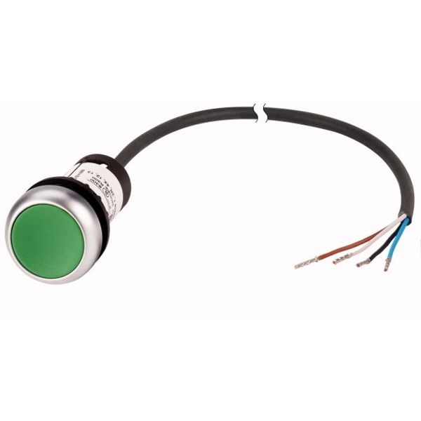 Pushbutton, classic, flat, maintained, 1 N/O, green, cable (black) with non-terminated end, 4 pole, 3.5 m image 1