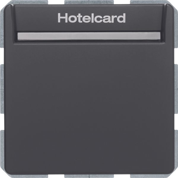 Relay switch centre plate for hotel card, Q.1/Q.3, ant. velvety, lacq. image 3