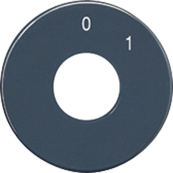 Spare scale disc SKS1101-20 image 2