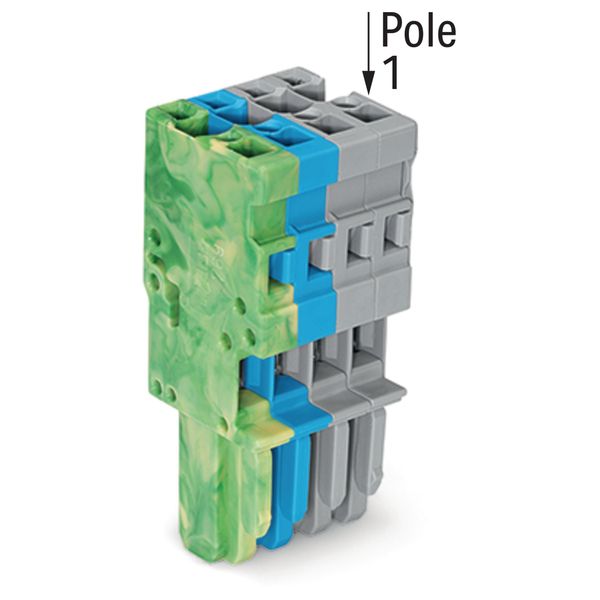 1-conductor female connector CAGE CLAMP® 4 mm² green-yellow, blue, gra image 3