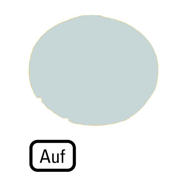 Button lens, flat white, AUF image 5