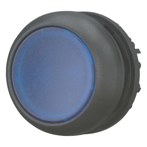 Illuminated pushbutton actuator, RMQ-Titan, Flush, momentary, Blue, Blank, Bezel: black image 5