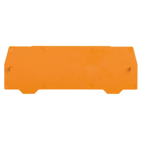 Partition plate (terminal), Intermediate plate, 105.8 mm x 38.35 mm, o image 1