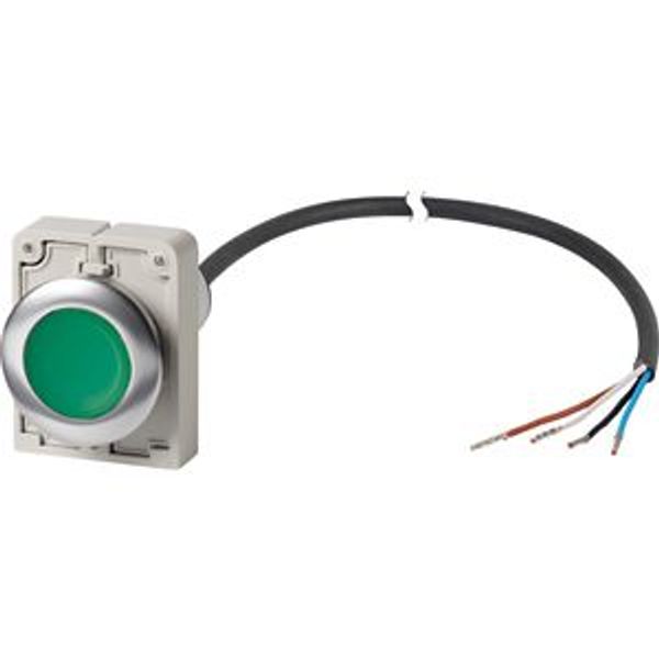 Illuminated pushbutton actuator, Flat, momentary, 1 N/O, Cable (black) with non-terminated end, 4 pole, 1 m, LED green, green, Blank, 24 V AC/DC, Meta image 2