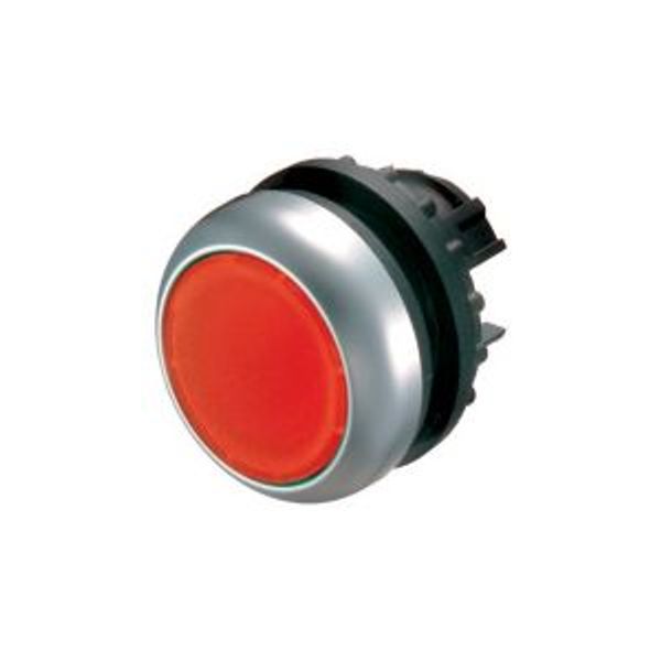 Illuminated pushbutton actuator, RMQ-Titan, Flush, momentary, Sealed and undetachable pushbutton pressel, red, Blank, Bezel: titanium image 2