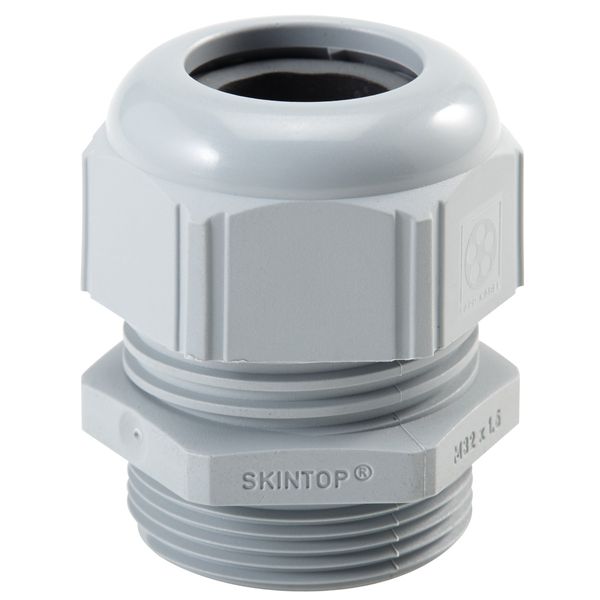 SKINTOP STR-M 25x1,5 RAL 7001 SGY image 2