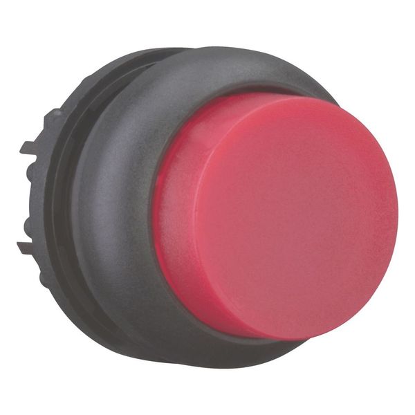 Illuminated pushbutton actuator, RMQ-Titan, Extended, momentary, red, Blank, Bezel: black image 10