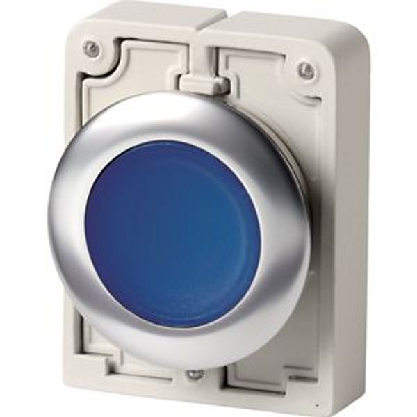 Illuminated pushbutton actuator, RMQ-Titan, flat, momentary, Blue, blank, Front ring stainless steel image 2