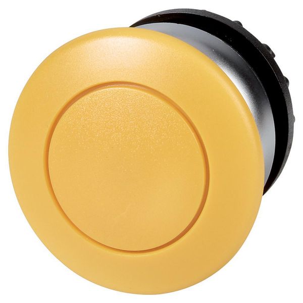 Mushroom actuator, RMQ-Titan, Mushroom, momentary, Mushroom yellow, yellow, Blank, Bezel: titanium image 4