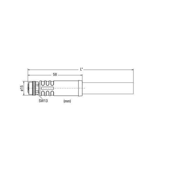 Power cable M12L socket straight 5-pole image 3