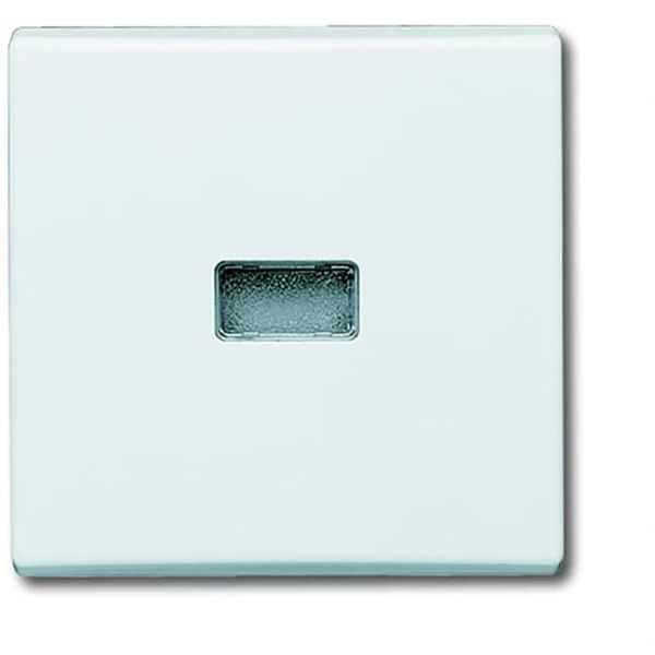 2107-34 CoverPlates (partly incl. Insert) carat® Alpine white image 1