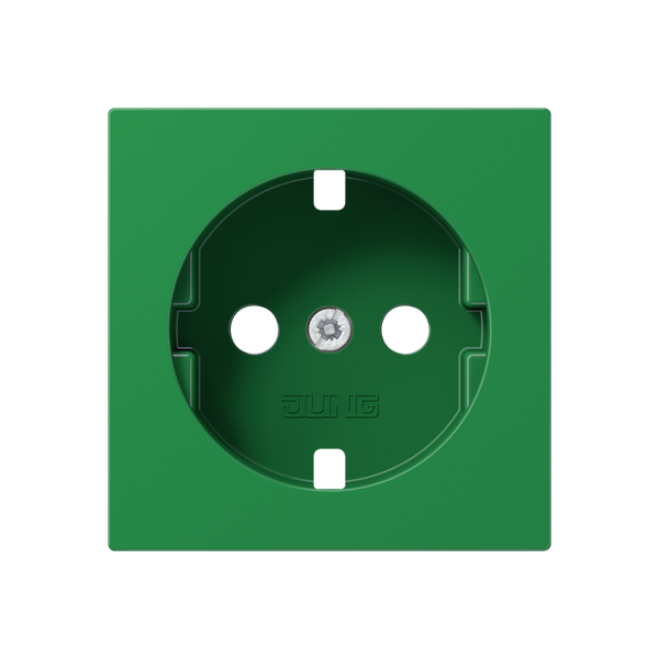 Cover for SCHUKO® sockets A1520BFPLGN image 1