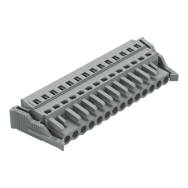 1-conductor female connector CAGE CLAMP® 2.5 mm² gray image 2