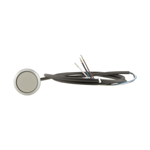 Pushbutton, Flat, momentary, 1 N/O, Cable (black) with non-terminated end, 4 pole, 3.5 m, White, Blank, Bezel: titanium image 15