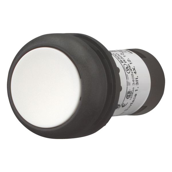 Pushbutton, Flat, momentary, 1 NC, 1 N/O, Screw connection, White, Blank, Bezel: black image 11