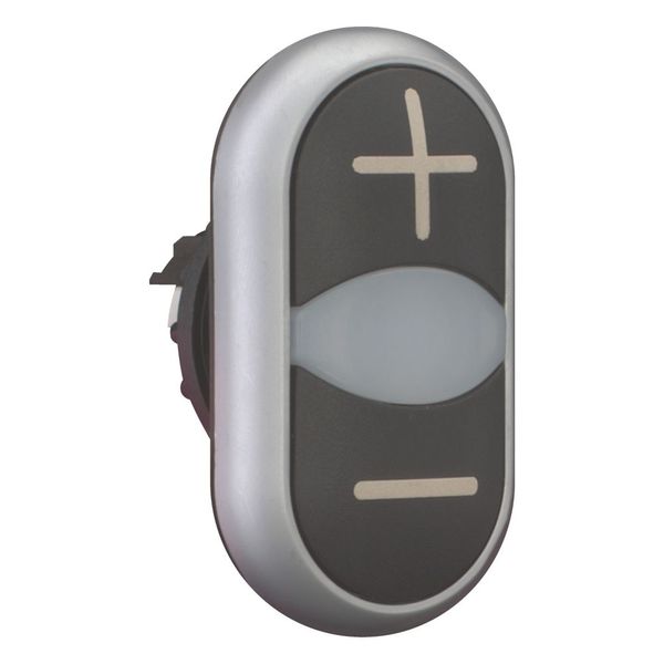 Double actuator pushbutton, RMQ-Titan, Actuators and indicator lights non-flush, momentary, White lens, black, black, inscribed, Bezel: titanium image 5