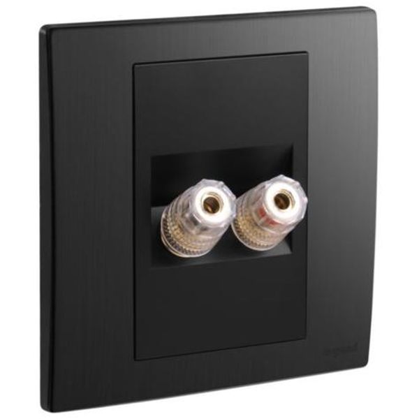 Mallia Senses - 1 gang single loudspeaker socket outlet - Brushed Black image 1