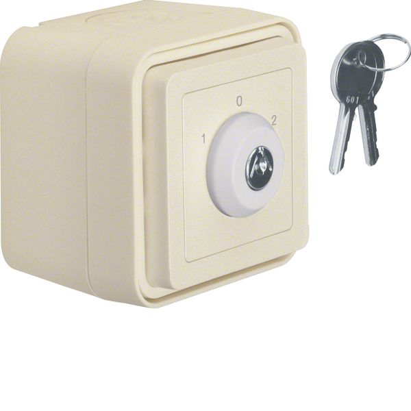 Key switch f.blinds impr. surf.-mtd,isolated input ,lock-differing loc image 1