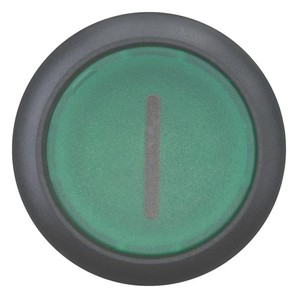 Illuminated pushbutton actuator, RMQ-Titan, Flush, maintained, green, inscribed, Bezel: black image 4