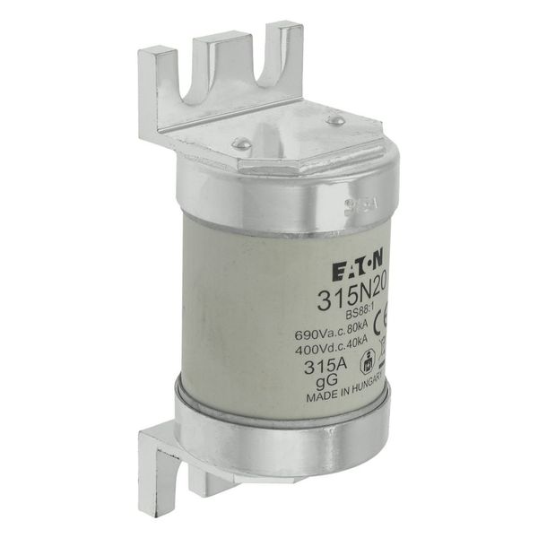 Fuse-link, low voltage, 315 A, AC 660 V, BS88, 49 x 110 mm, gL/gG, BS image 20