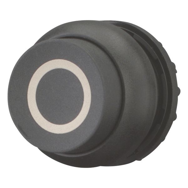 Pushbutton, RMQ-Titan, Extended, momentary, black, inscribed, Bezel: black image 3