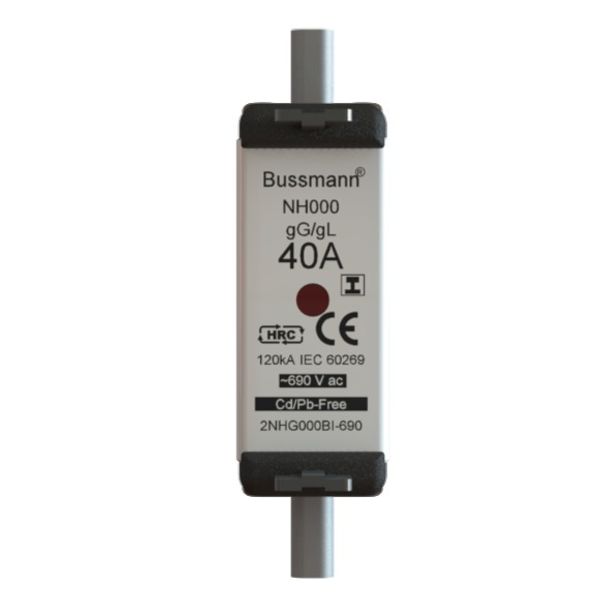 32NHG000BI-690 NH FUSE 32A 690V GG/GL SIZE 000 image 1