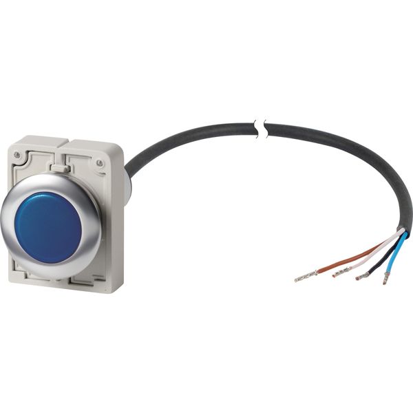 Indicator light, Flat, Cable (black) with non-terminated end, 4 pole, 1 m, Lens Blue, LED Blue, 24 V AC/DC image 3