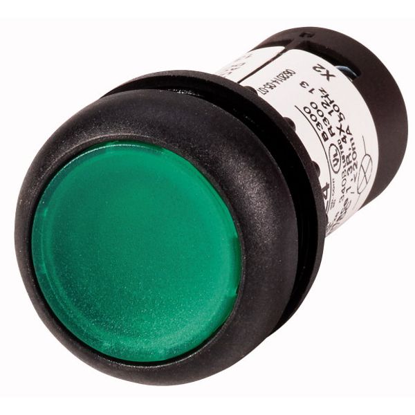 Illuminated pushbutton actuator, Flat, maintained, 1 N/O, Screw connection, LED green, green, Blank, 230 V AC, Bezel: black image 1