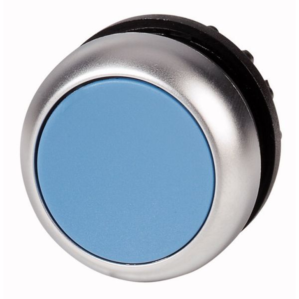 Pushbutton, RMQ-Titan, Flat, maintained, Blue, Blank, Bezel: titanium image 1