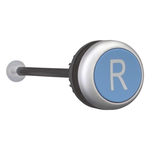 Release pushbutton, blue, R image 12