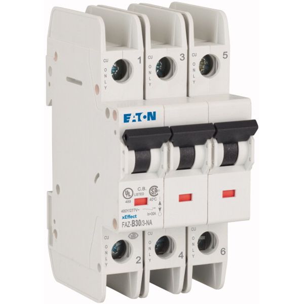 Miniature circuit breaker (MCB), 30 A, 3p, characteristic: B image 3