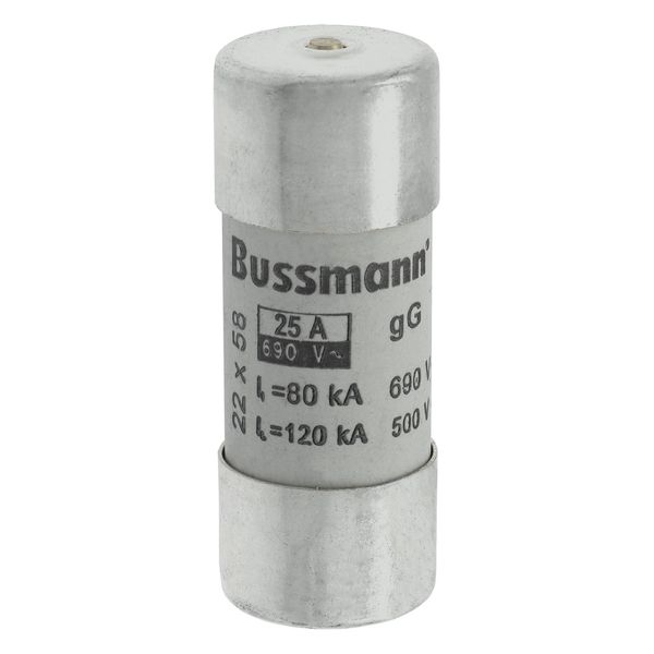 Fuse-link, LV, 25 A, AC 690 V, 22 x 58 mm, gL/gG, IEC, with striker image 9