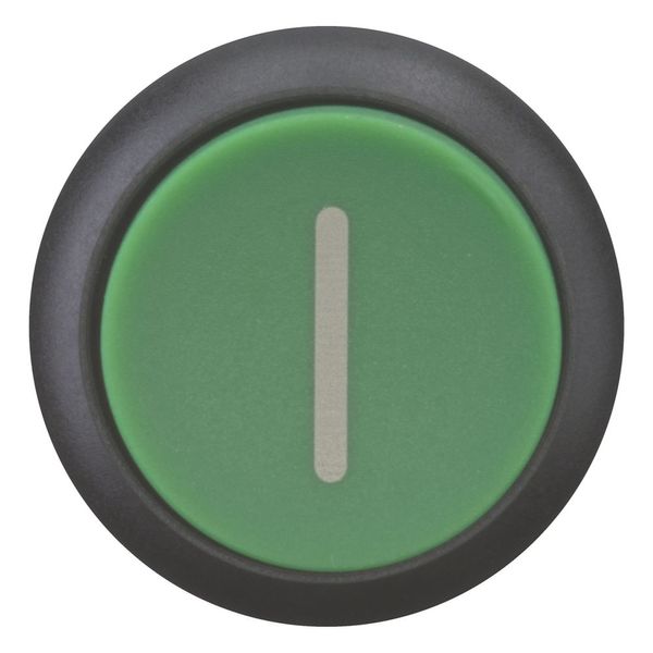 Pushbutton, RMQ-Titan, Extended, momentary, green, inscribed, Bezel: black image 4