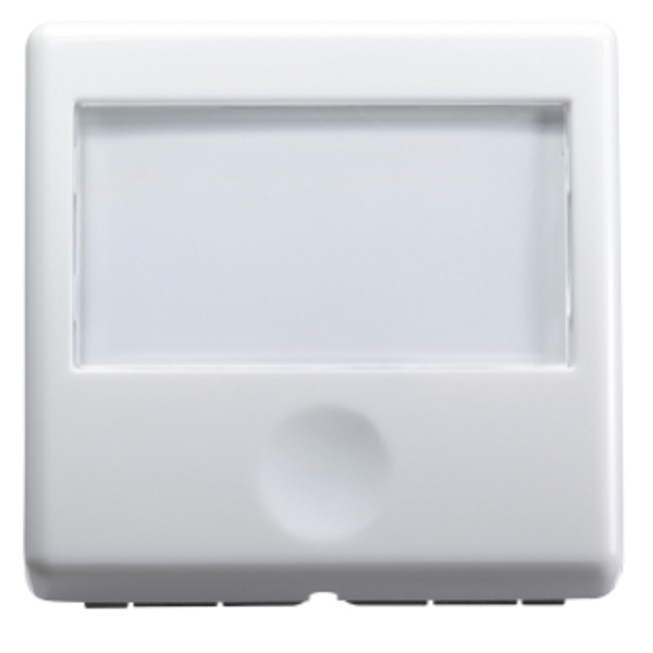 PUSH-BUTTON WITH BACKLIT NAME PLATE 250V ac - NO 10A - 2 MODULES - SYSTEM WHITE image 1