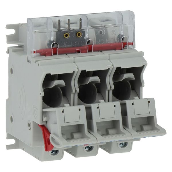 Fuse-holder, low voltage, 50 A, AC 690 V, 14 x 51 mm, 3P, IEC image 11