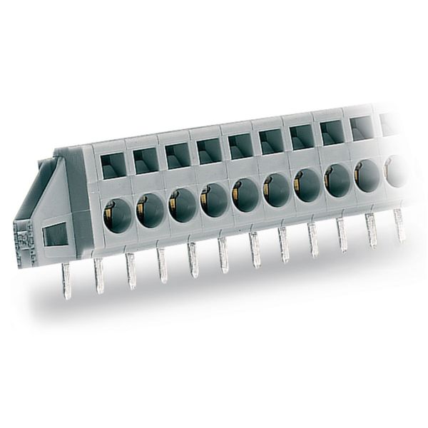 PCB terminal block 2.5 mm² Pin spacing 5 mm gray image 2