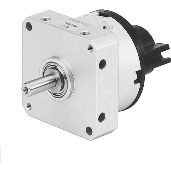 DSM-10-180-P-A Rotary actuator image 1