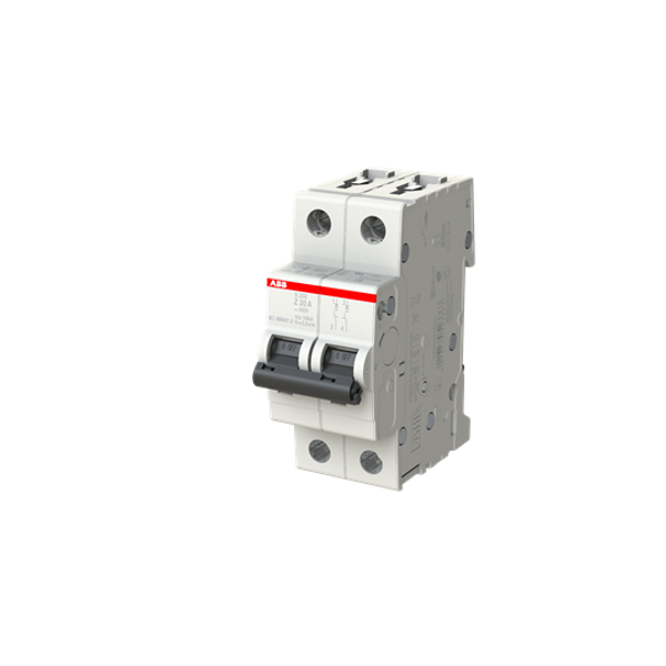 S202-D50 Miniature Circuit Breaker - 2P - D - 50 A image 3