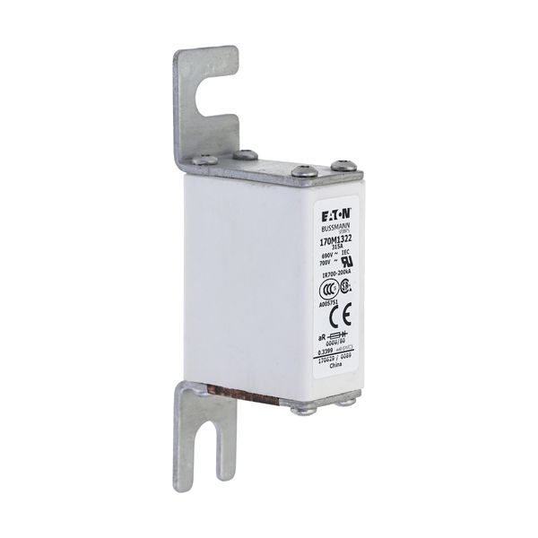 Fuse-link, high speed, 315 A, AC 690 V, DIN 000, 21 x 40 x 100 mm, aR, DIN, IEC image 16