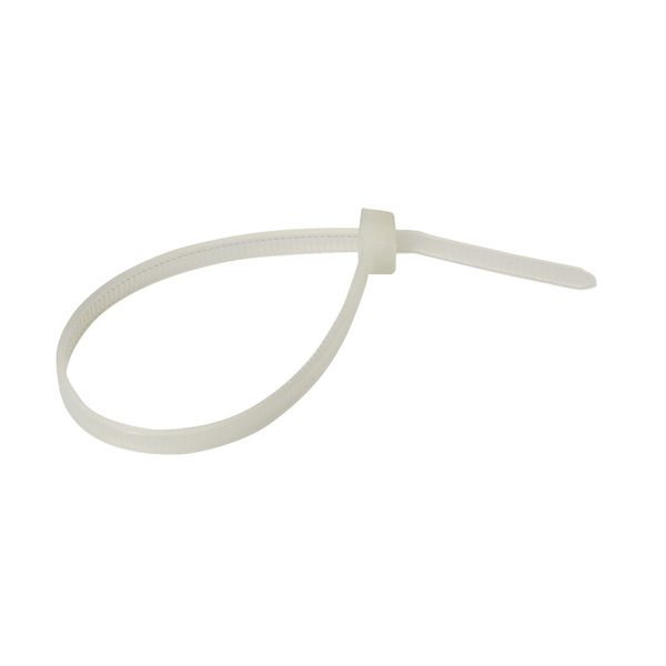 THORSMAN Cable tie 100x2.5mm Clear x100 image 1